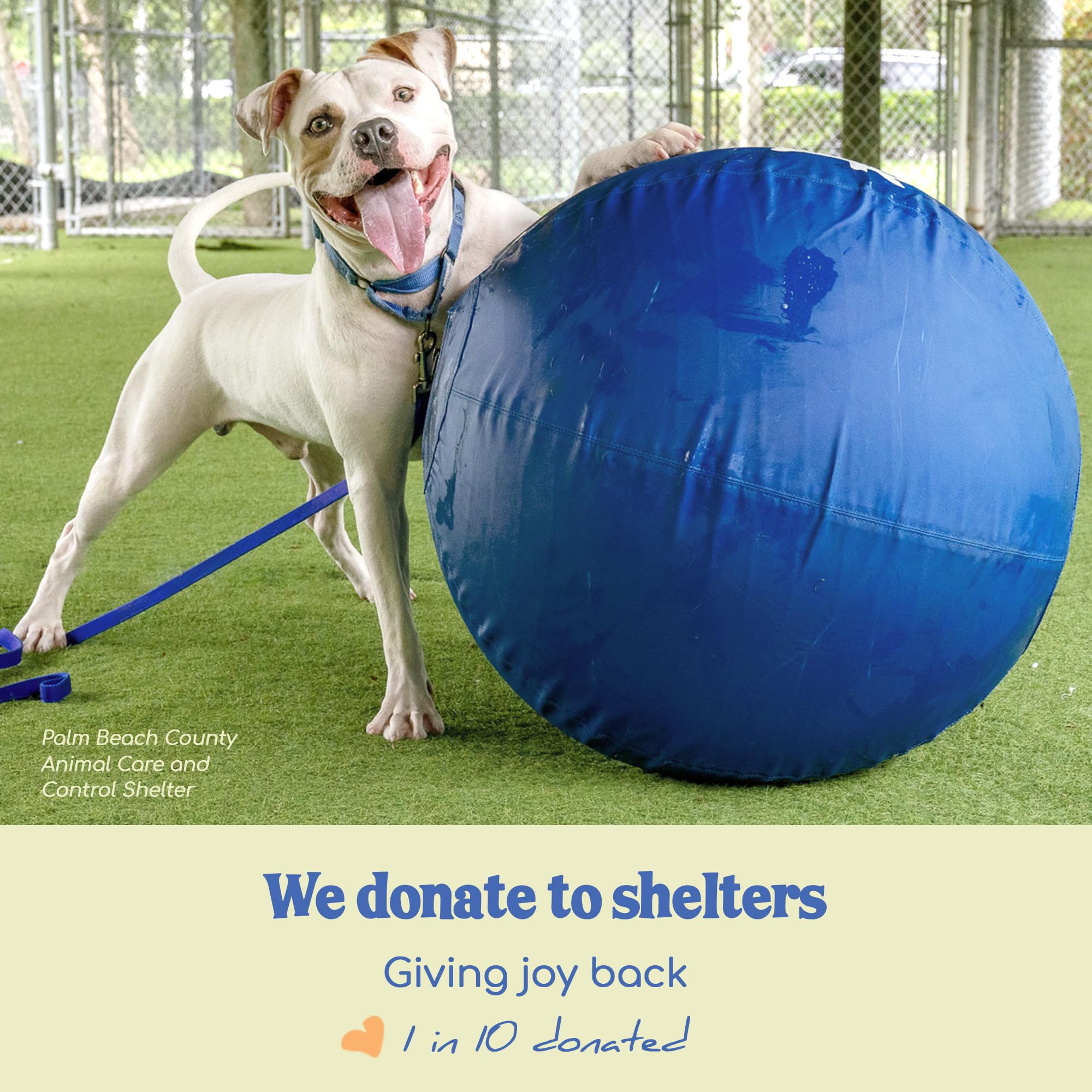 Race&Herd dog-park fetch ball blue ideal for large breeds' supervised play.