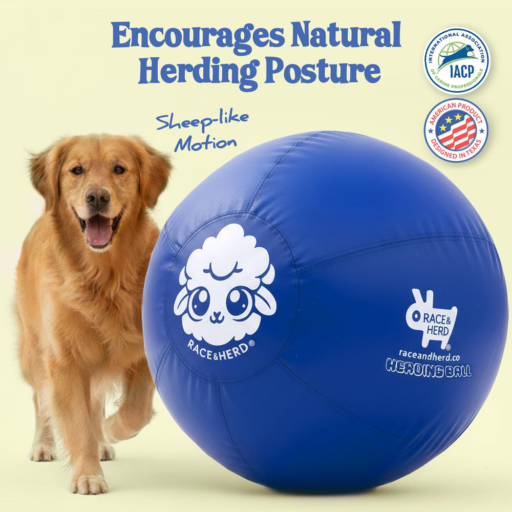 Race&Herd heavy-duty rubber ball built to withstand rough play and chewing.