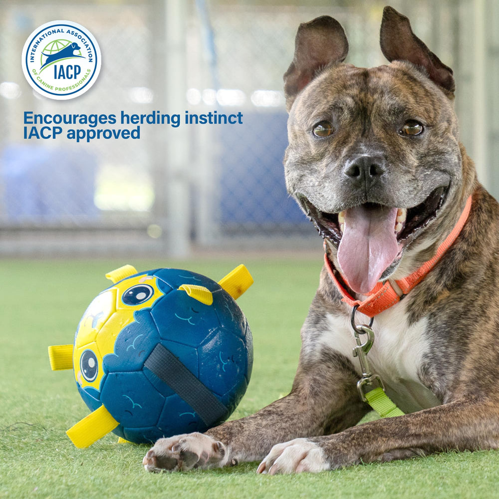 Race&Herd indestructible dog ball chewers designed for tough outdoor sessions.