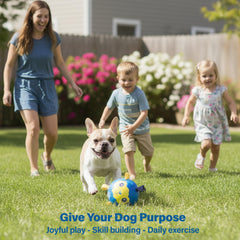 Race&amp;Herd jolly soccer ball for dogs—with handle, easy tossing and interactive training.