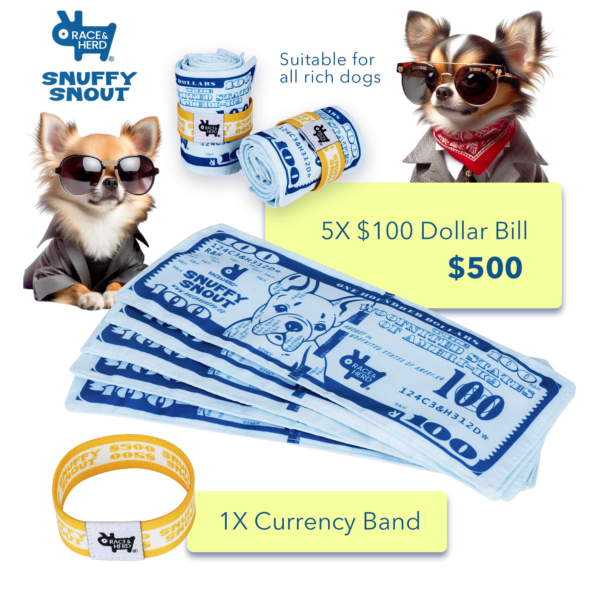 Race&Herd multi-pet enrichment game entertains dogs and cats in shared homes.