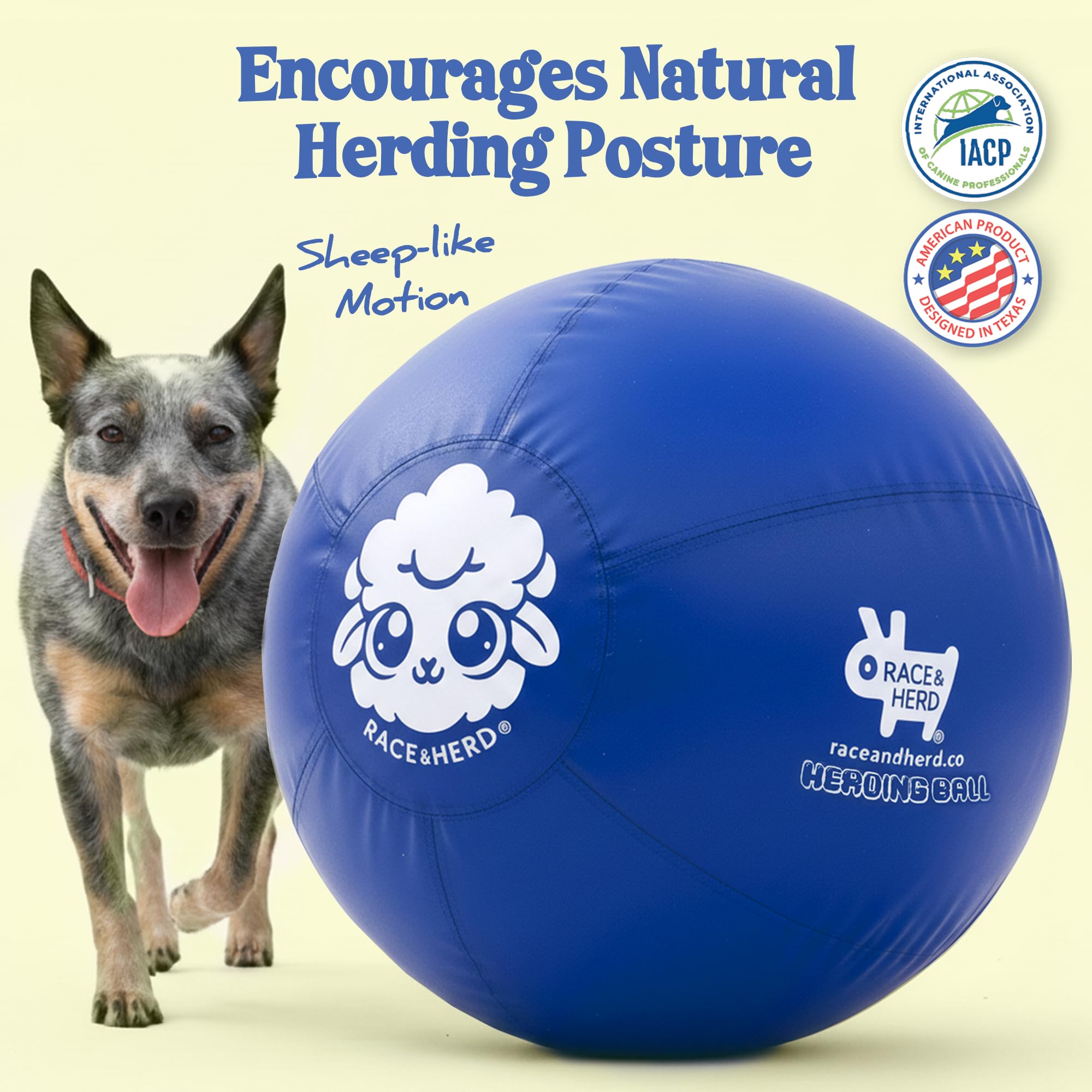 Race&Herd XXL herding ball blue outdoor play showcases large size for fetch.