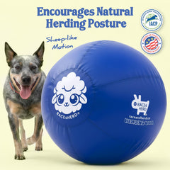 Race&Herd XXL herding ball blue outdoor play showcases large size for fetch.