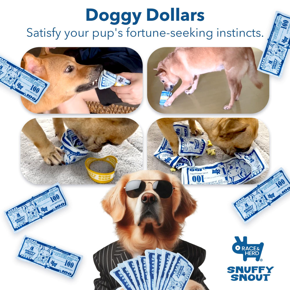 Race&Herd puppy training snuffle mat supports crate training and healthy habits.