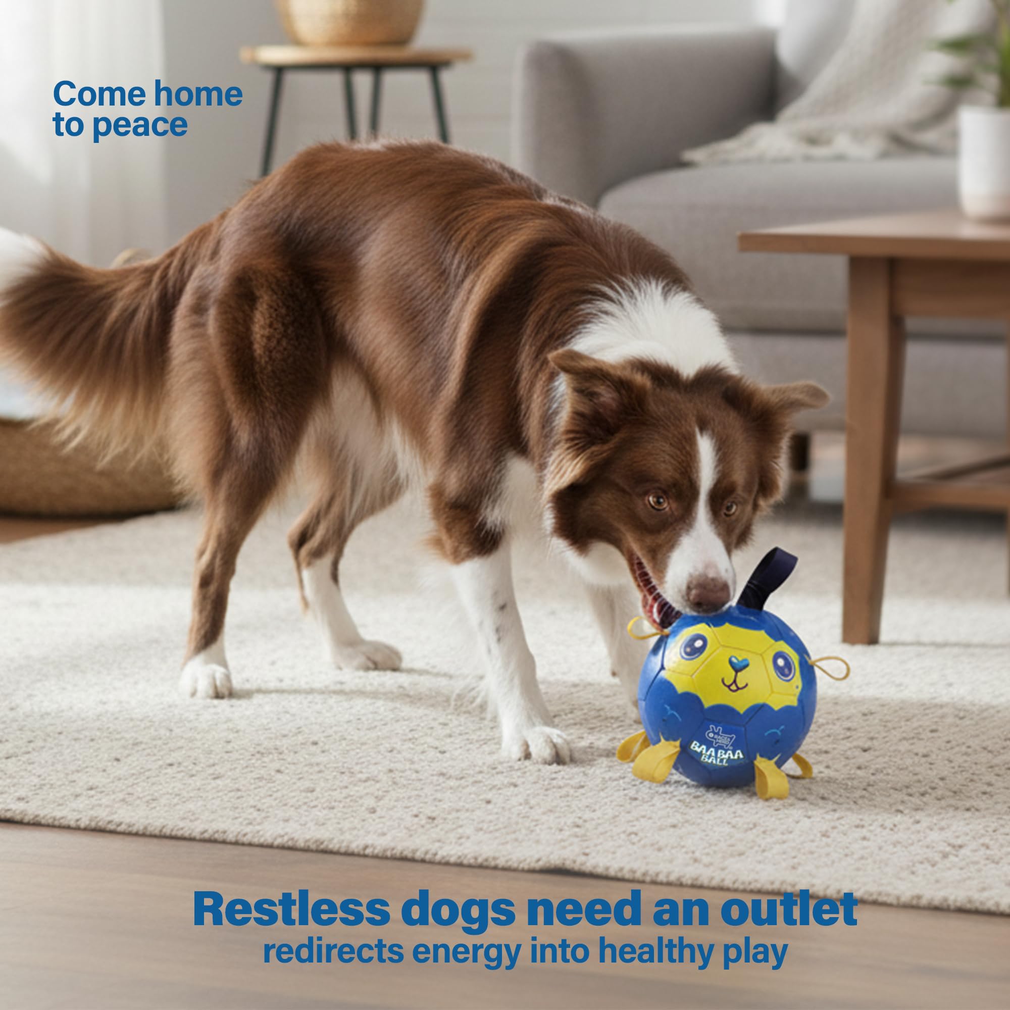 Race&Herd safe tough dog ball outdoor use supports rugged training sessions.