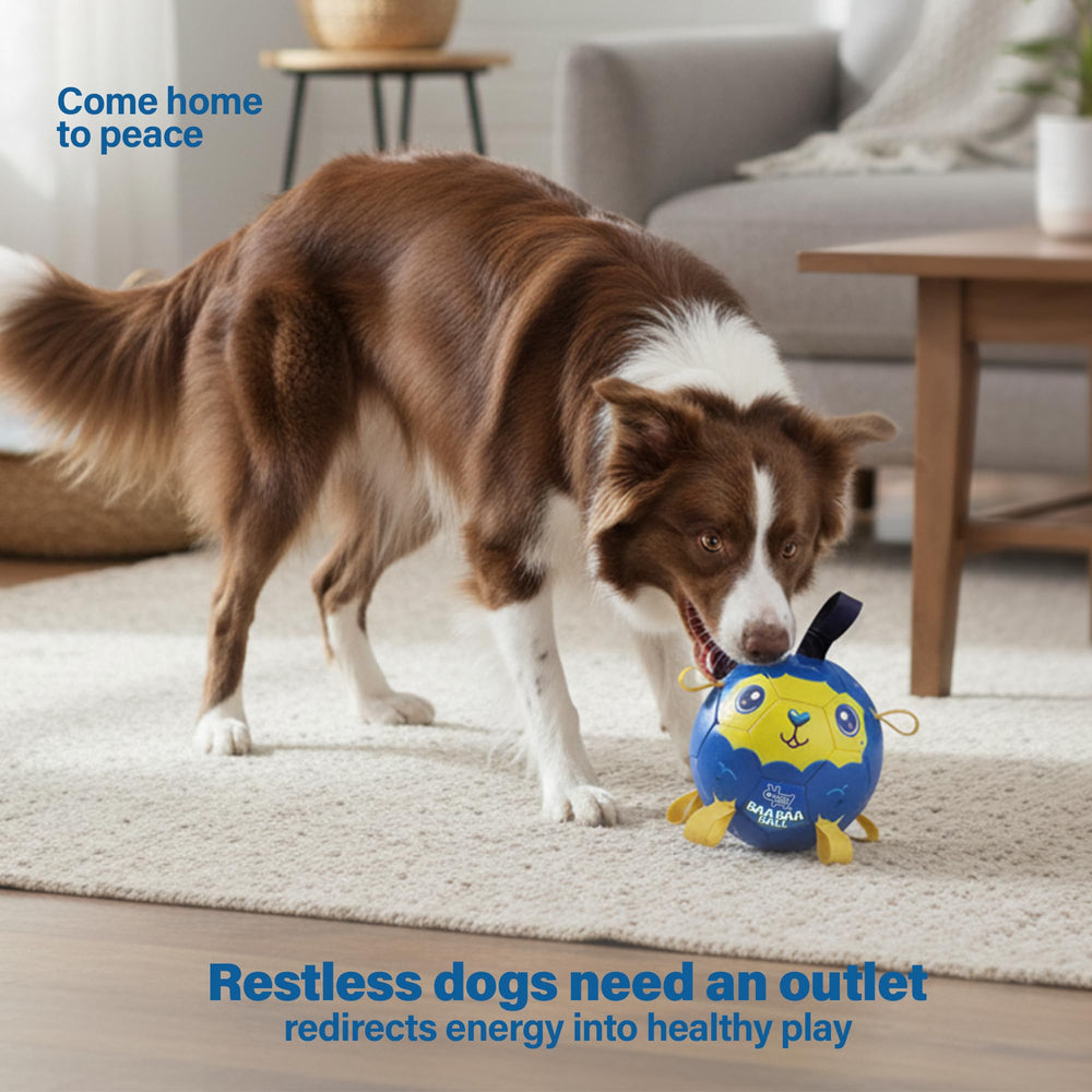 Race&Herd safe tough dog ball outdoor use supports rugged training sessions.