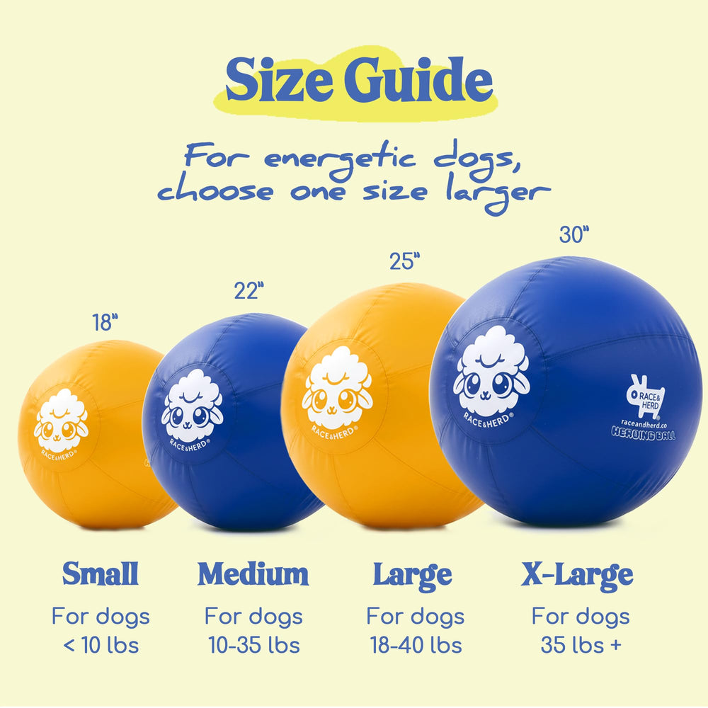 Race&Herd non-toxic ball blue safe surface for gentle chewing and play.