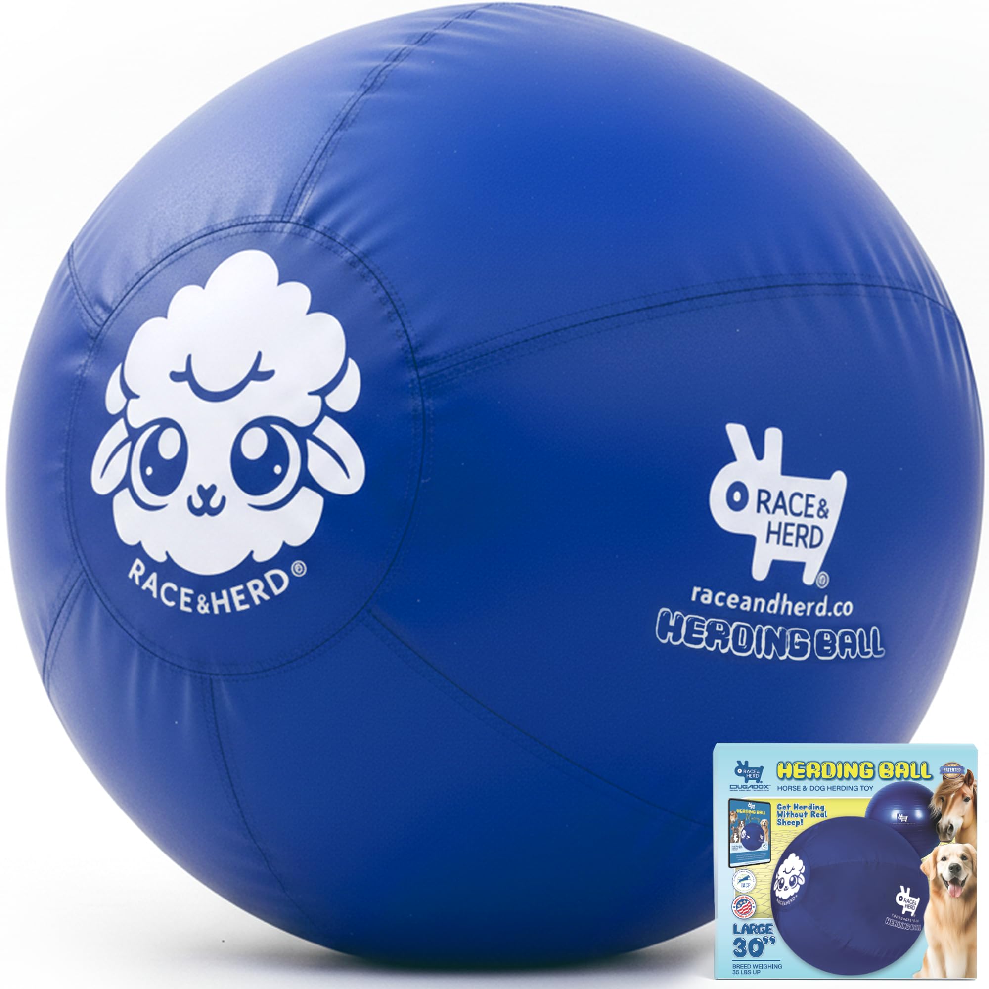 Race&Herd XXL blue herding ball in backyard play for focused exercise and engagement.