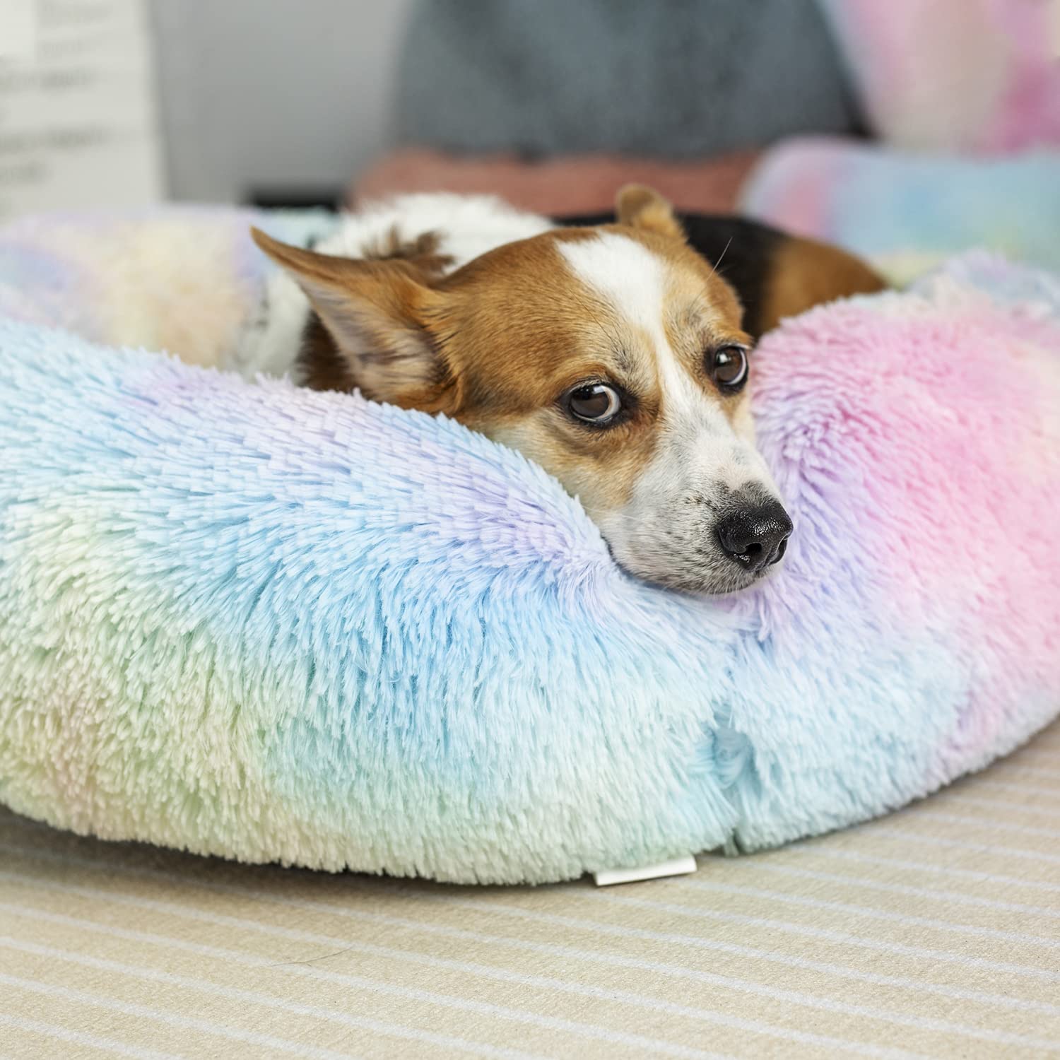 Raimaiso round fluffy bed promotes curling up and warm comfort