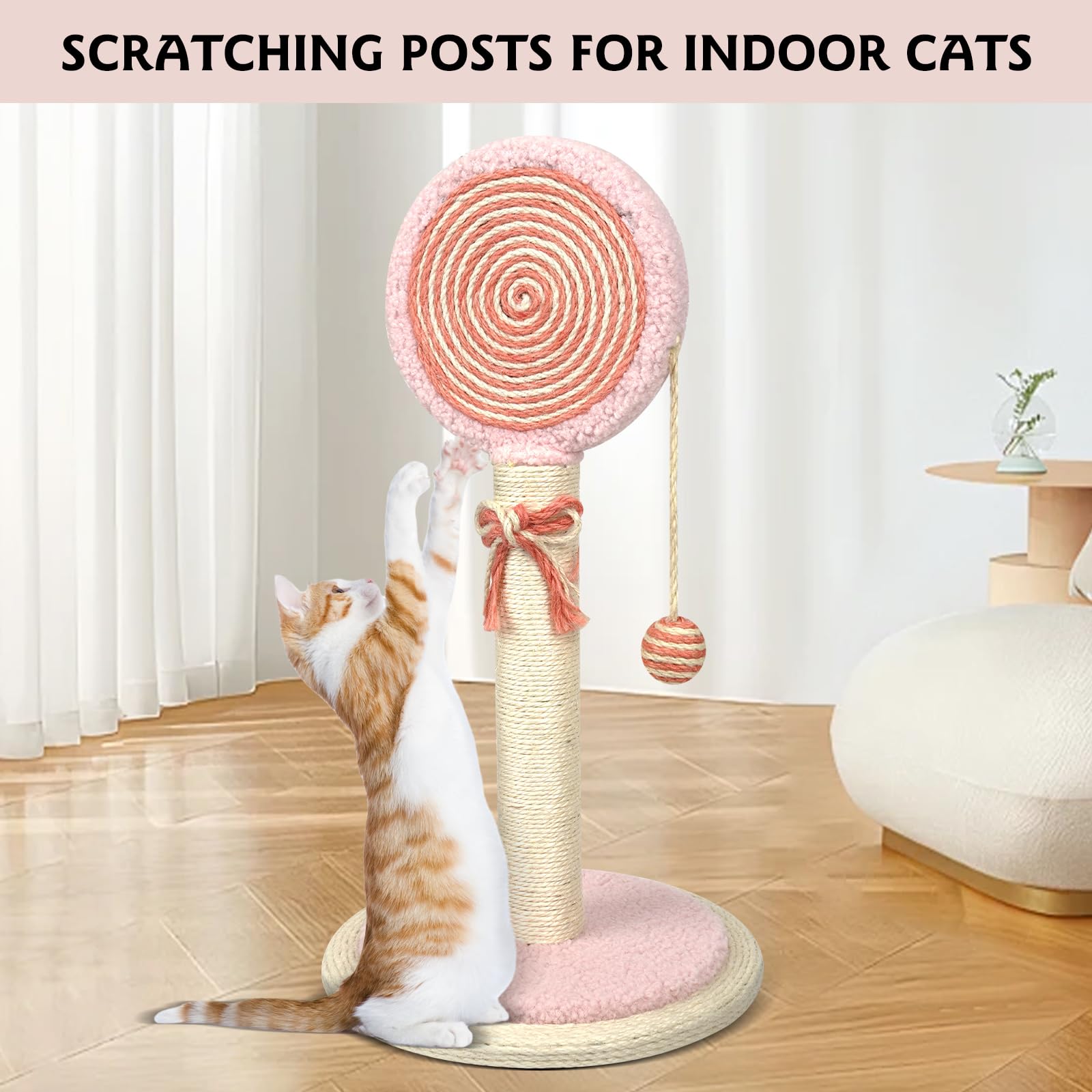 RAIN QUEEN kitten-friendly design provides safe play and stretching