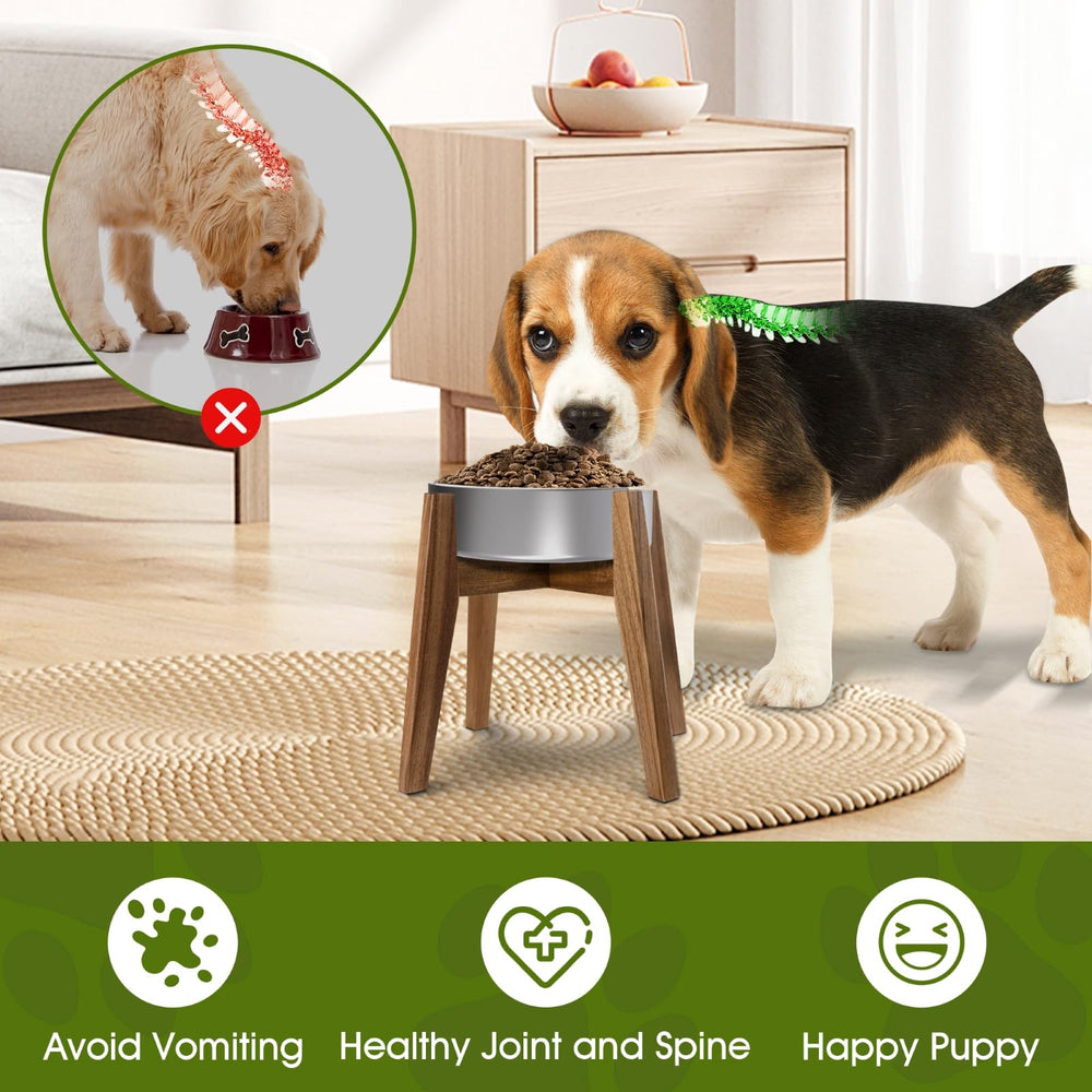 Rainbleland anti spill design highlights stable base during mealtime