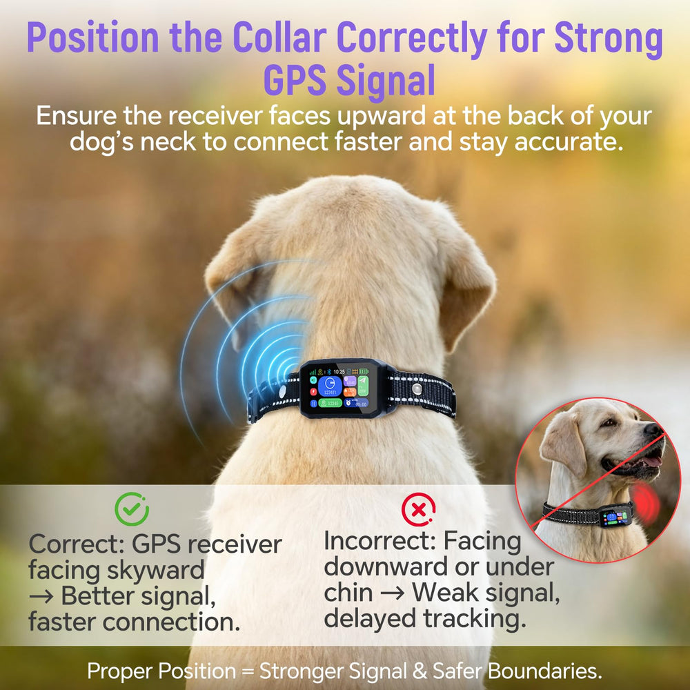 RAINLEOTI adjustable collar fit for dogs 10–120 lbs with secure, comfortable wear.