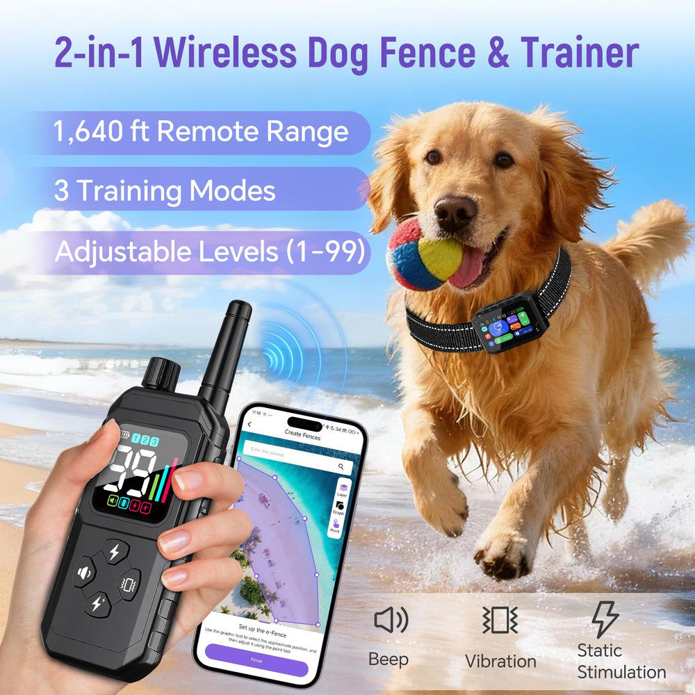 RAINLEOTI training modes image highlights adjustable Beep, Vibration, Static for humane guidance.
