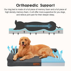 Rainmr orthopedic bed non-slip bottom stays stable on wood, tile, or carpet