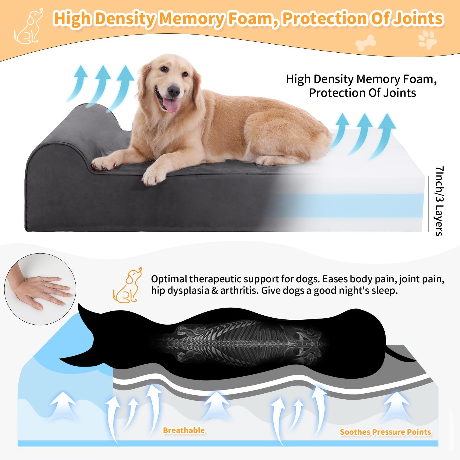 Rainmr Orthopedic Dog Bed top view highlights size and lounging area for stretch