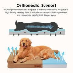 Rainmr orthopedic dog bed non-slip bottom stays steady on floors