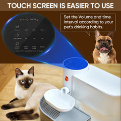 RAINPOT 3L reservoir highlights ample capacity for multiple pets' daily hydration.