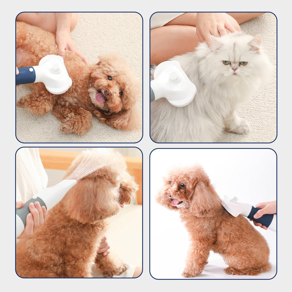 RAIWAV 3-in-1 dog hair dryer safety and maintenance highlights easy sponge filter cleaning