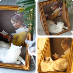 RAKKIHORU cat cave and couch — roomy hideaway for cats and small pets