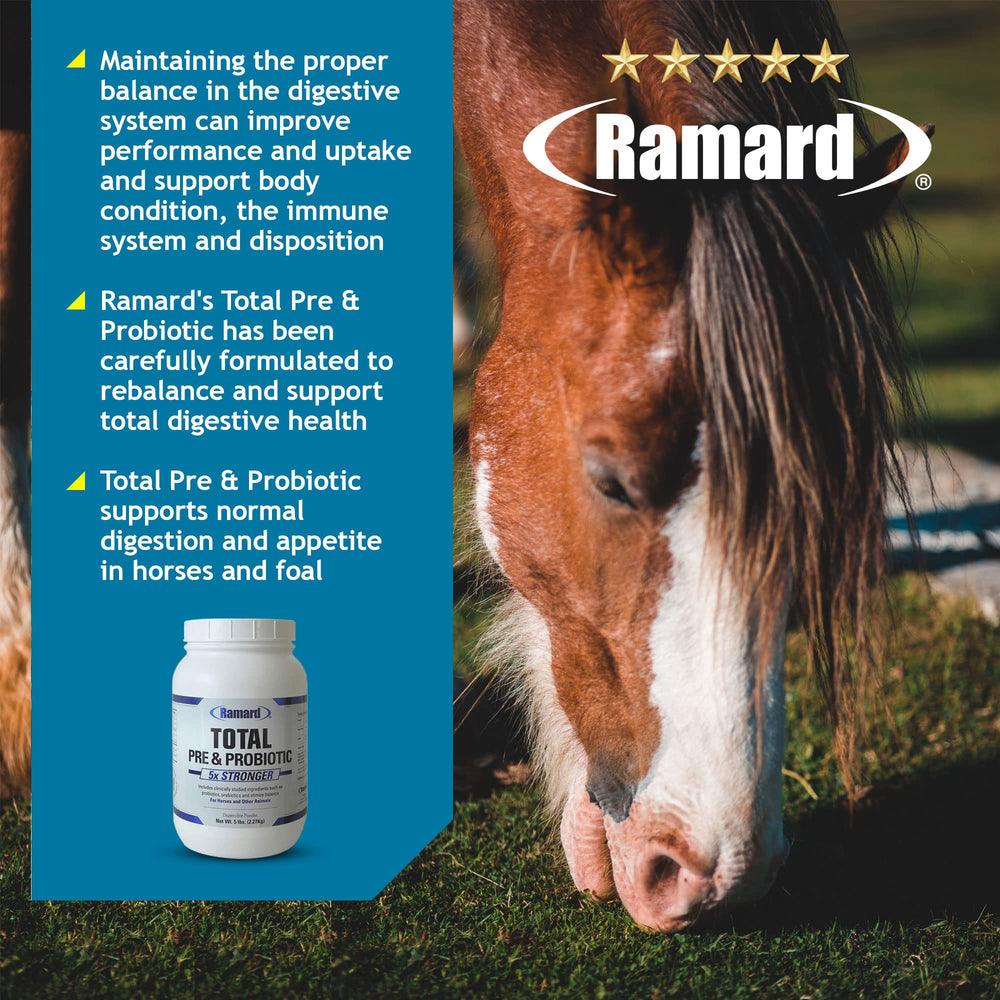 Ramard foal digestive-support helps maintain gentle, steady digestive balance
