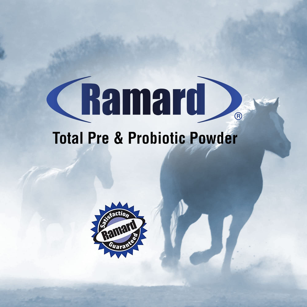 Ramard satisfaction guarantee graphic communicates commitment to customer happiness
