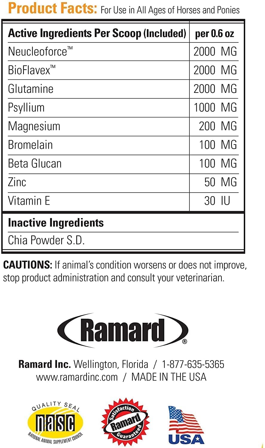 Show-ready horse on warm-up with Ramard Total Calm and Focus for steady energy