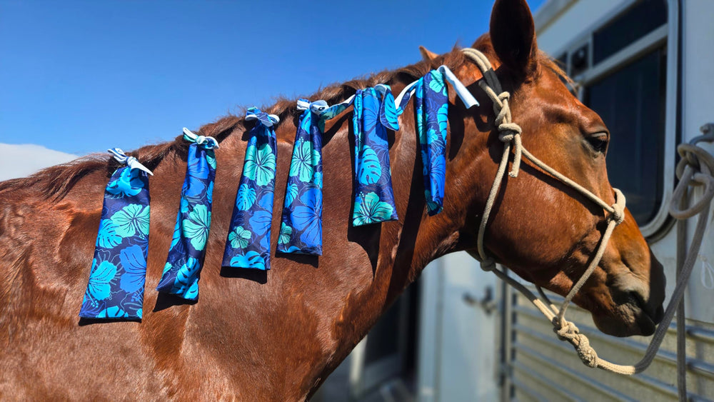 Ranch Hand Mane Bags come in a 6-pack for complete protection.