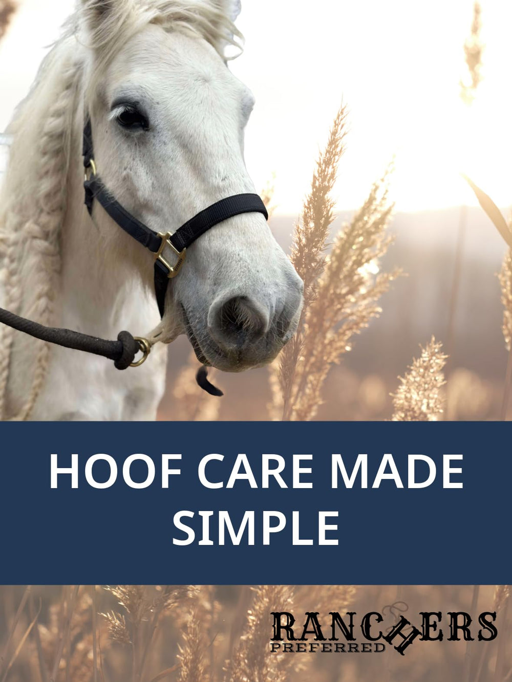 Ranchers Preferred HoofWand hoof-health benefits through routine debris removal.
