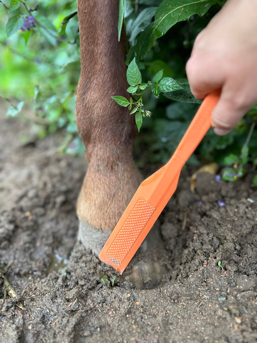 Ranchers Preferred HoofWand safe-for-soggy-hooves prevents irritation in wet conditions.