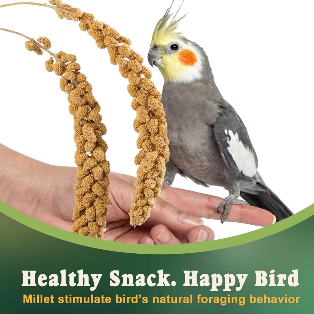 RANZ millet spray clipped for convenient feeding and access.