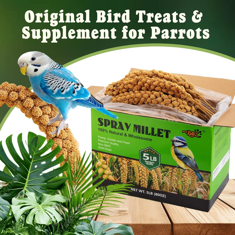 RANZ millet spray foraging scene promoting natural exploration.
