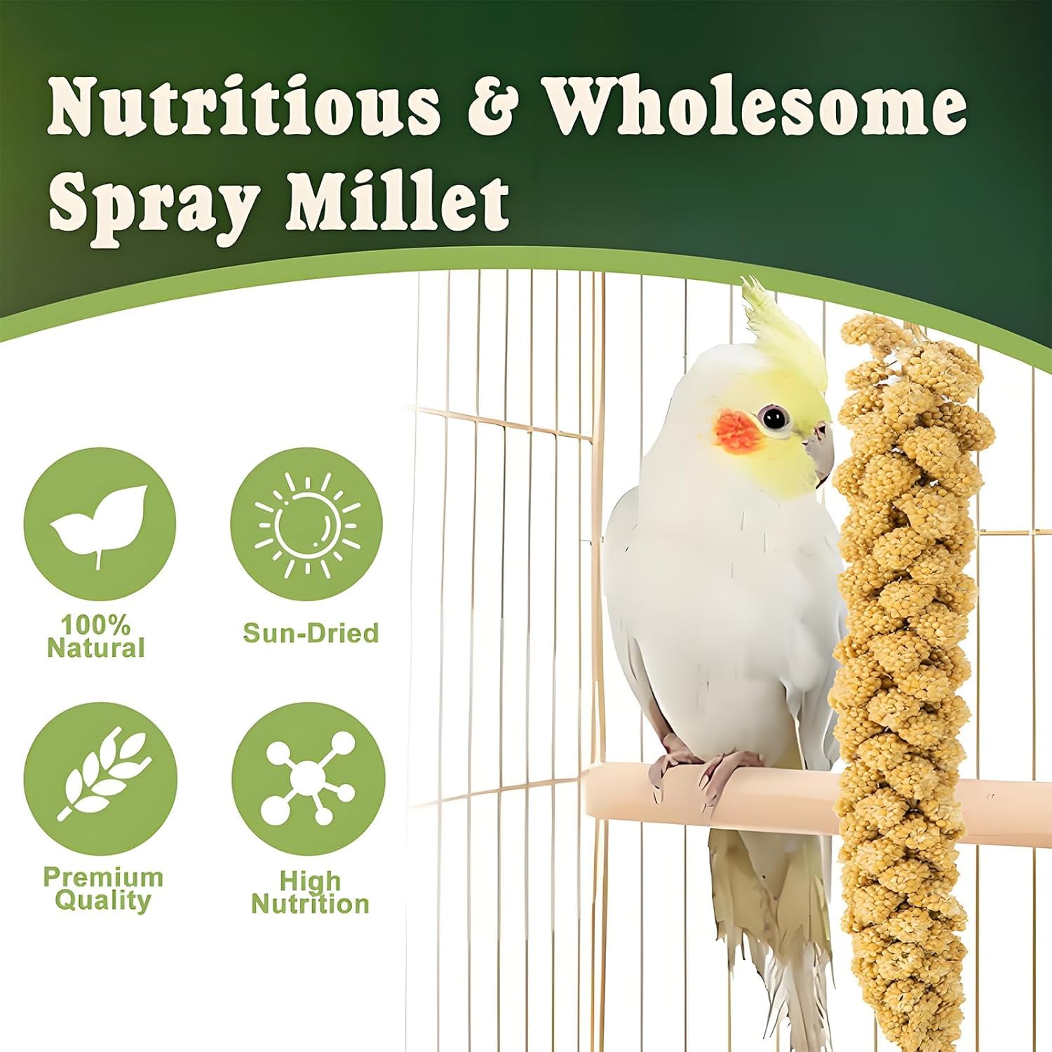 RANZ natural sun-dried millet sprays with bright color and aroma.