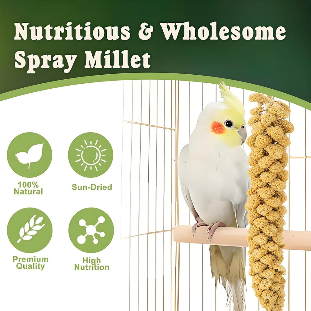 RANZ natural sun-dried millet sprays with bright color and aroma.
