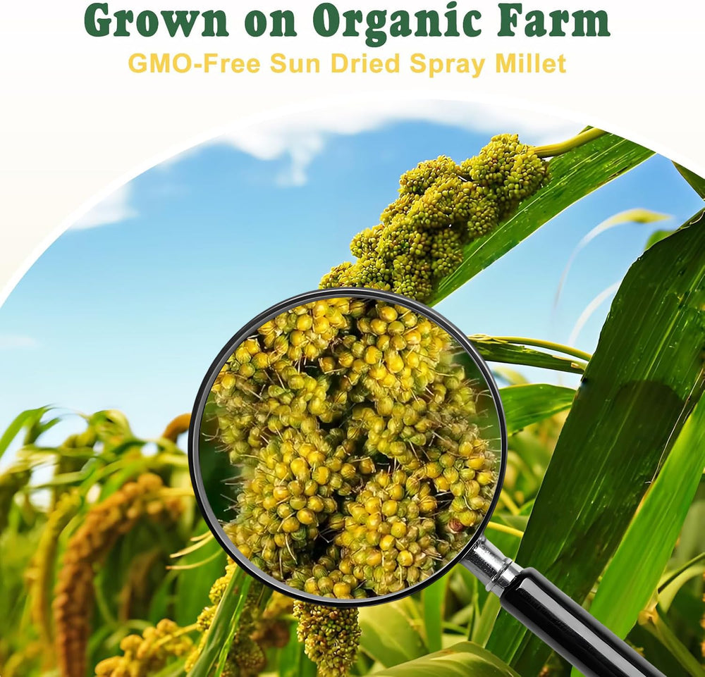 RANZ millet spray inside small-bird cage for easy feeding.