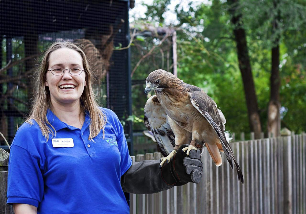 RAPICCA bird and reptile handling context shows versatile glove utility.