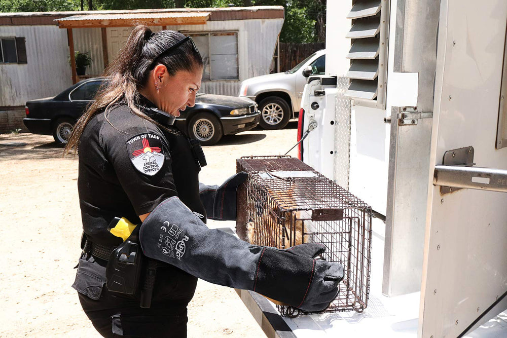RAPICCA 22-inch forearm-protection glove demonstrates safer handling of animals.