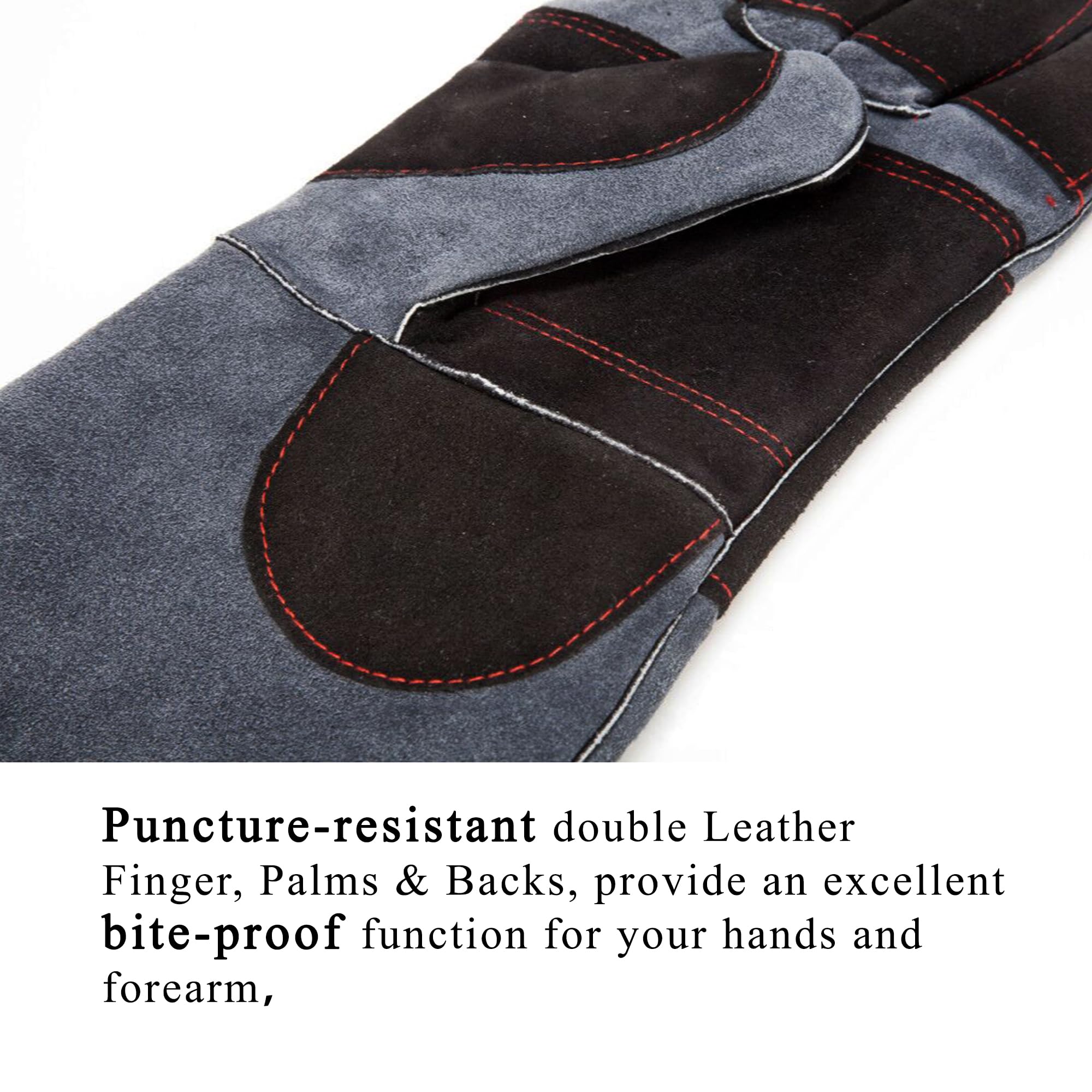 RAPICCA gloves designed for birds like parrots and eagles