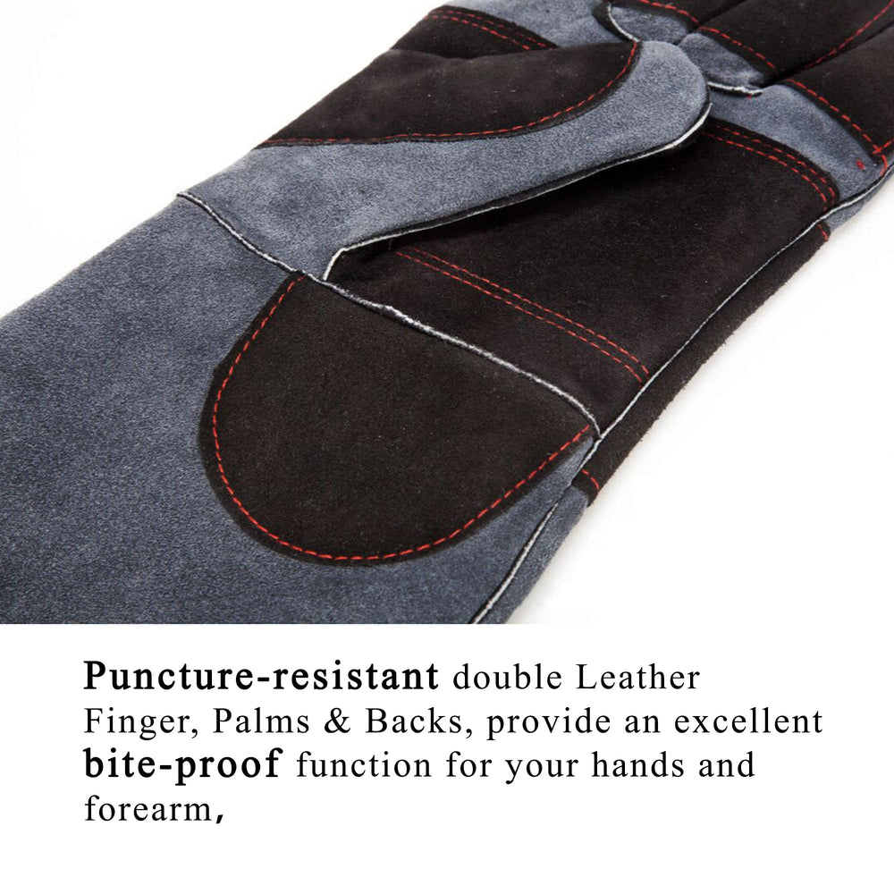 RAPICCA gloves designed for birds like parrots and eagles