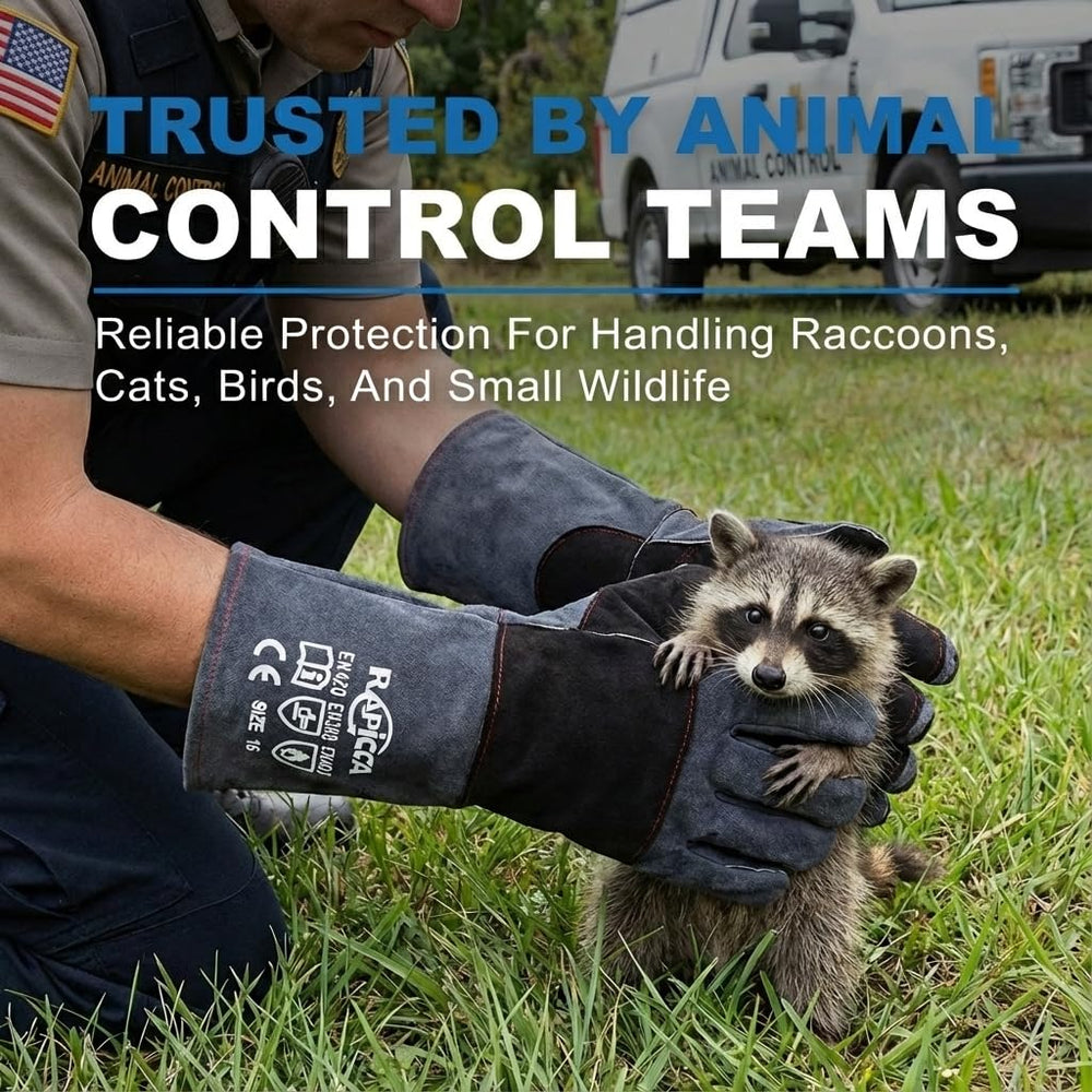 RAPICCA veterinarian-use scene demonstrates professional-grade protection during animal care.