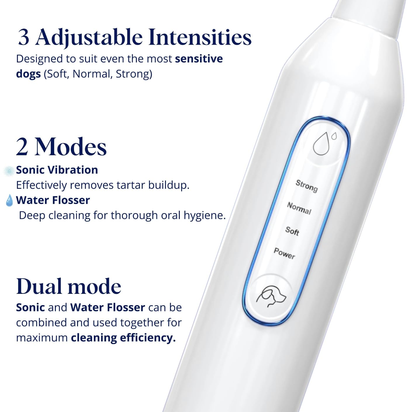 RarePet Canivet dog dental kit bundles essential tools for home care