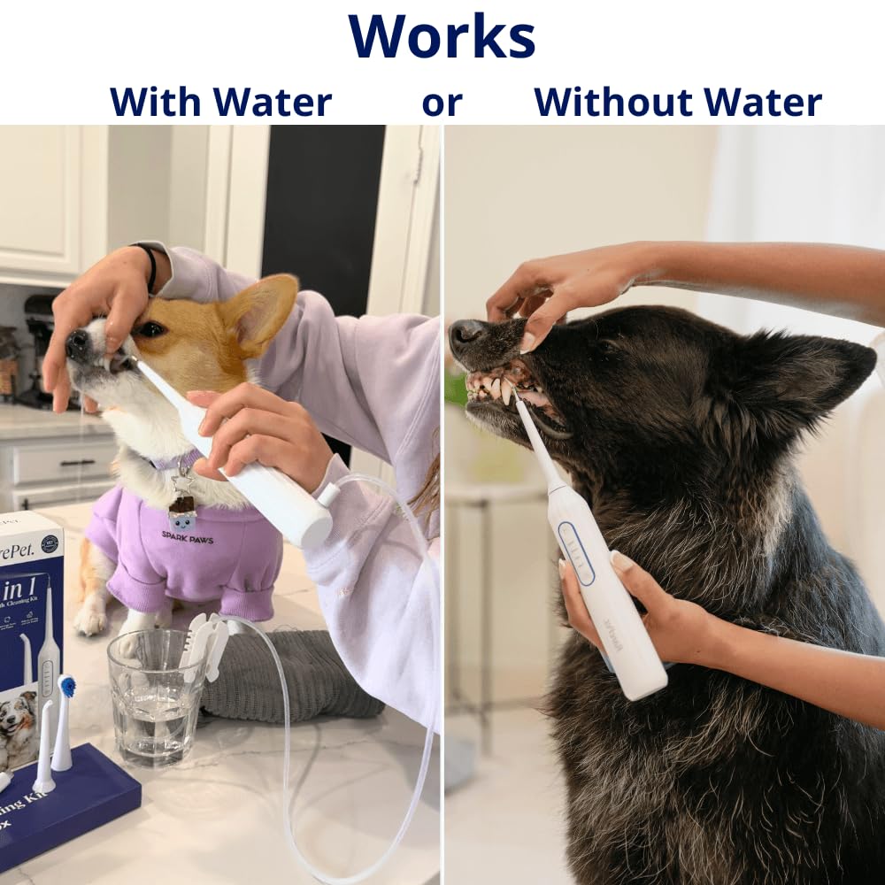 RarePet Canivet hose demonstrates smooth water flow for effective cleaning