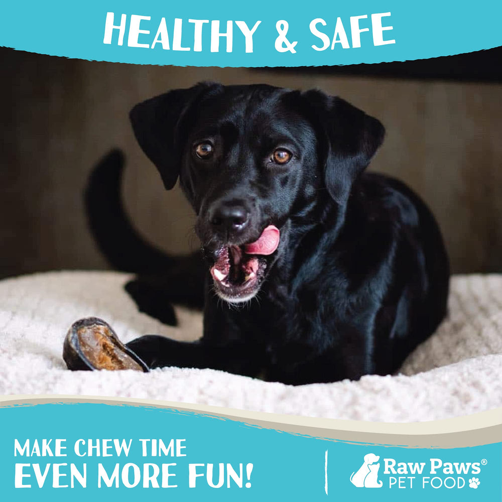 Raw Paws all-natural ingredients label communicates no additives or preservatives.