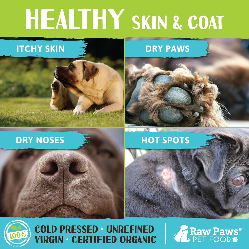 Raw Paws coconut oil spoon dosing demonstrates easy pet supplement.