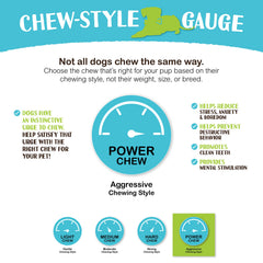 Raw Paws dental benefits marrow bone close-up underscores plaque-scraping potential.