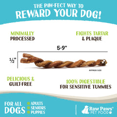 Raw Paws dog enjoying lamb pizzle twist demonstrates natural chewing outlet