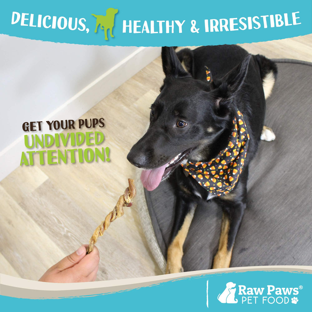Raw Paws free-range lamb pizzle bulk pack emphasizes quality sourcing