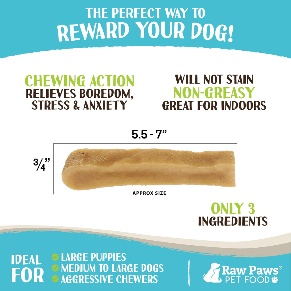 Raw Paws Himalayan Yak Chews dog chewing action highlights engagement.
