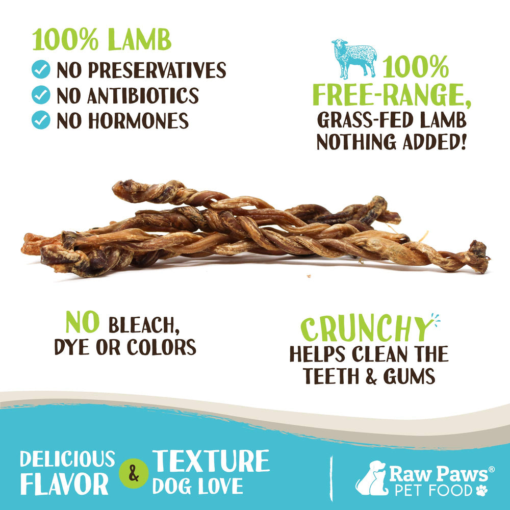 Raw Paws lamb pizzle twists closeup texture highlights braided, digestible chew