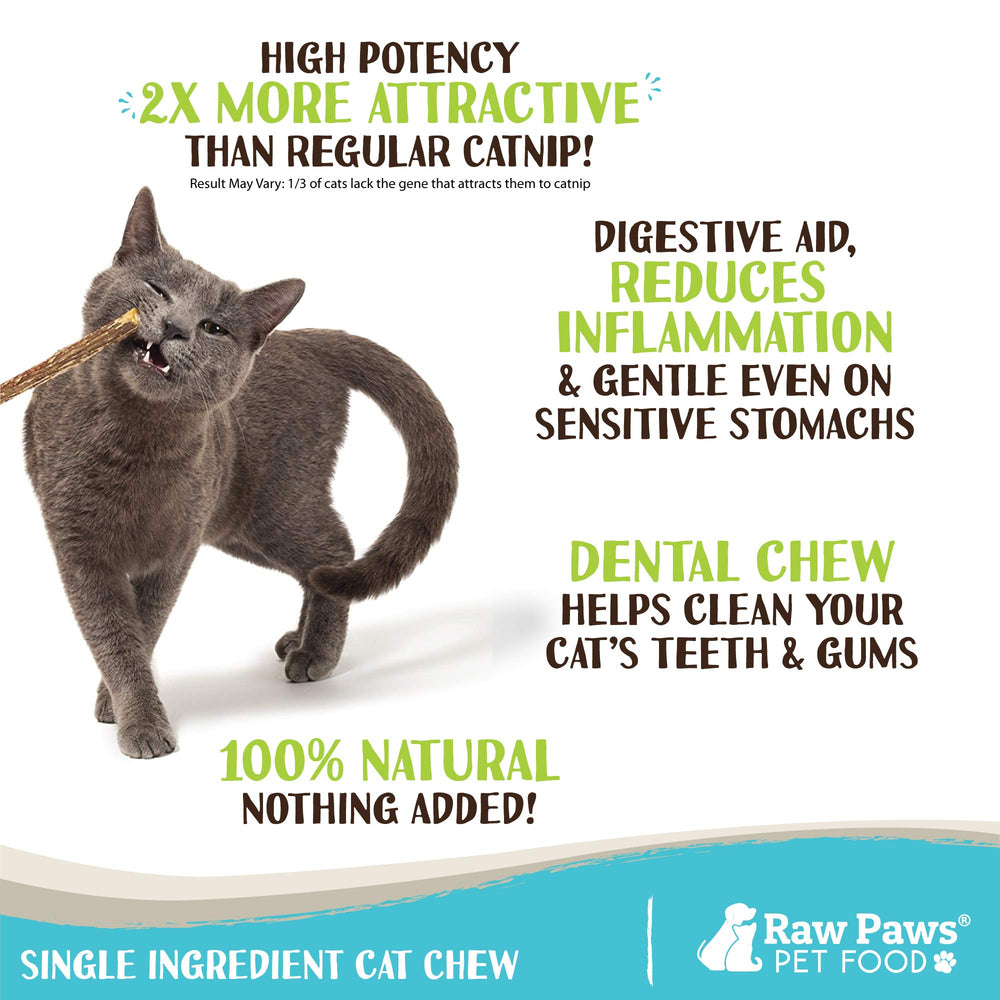 Raw Paws silvervine sticks cat in play demonstrates indoor enrichment and exercise.