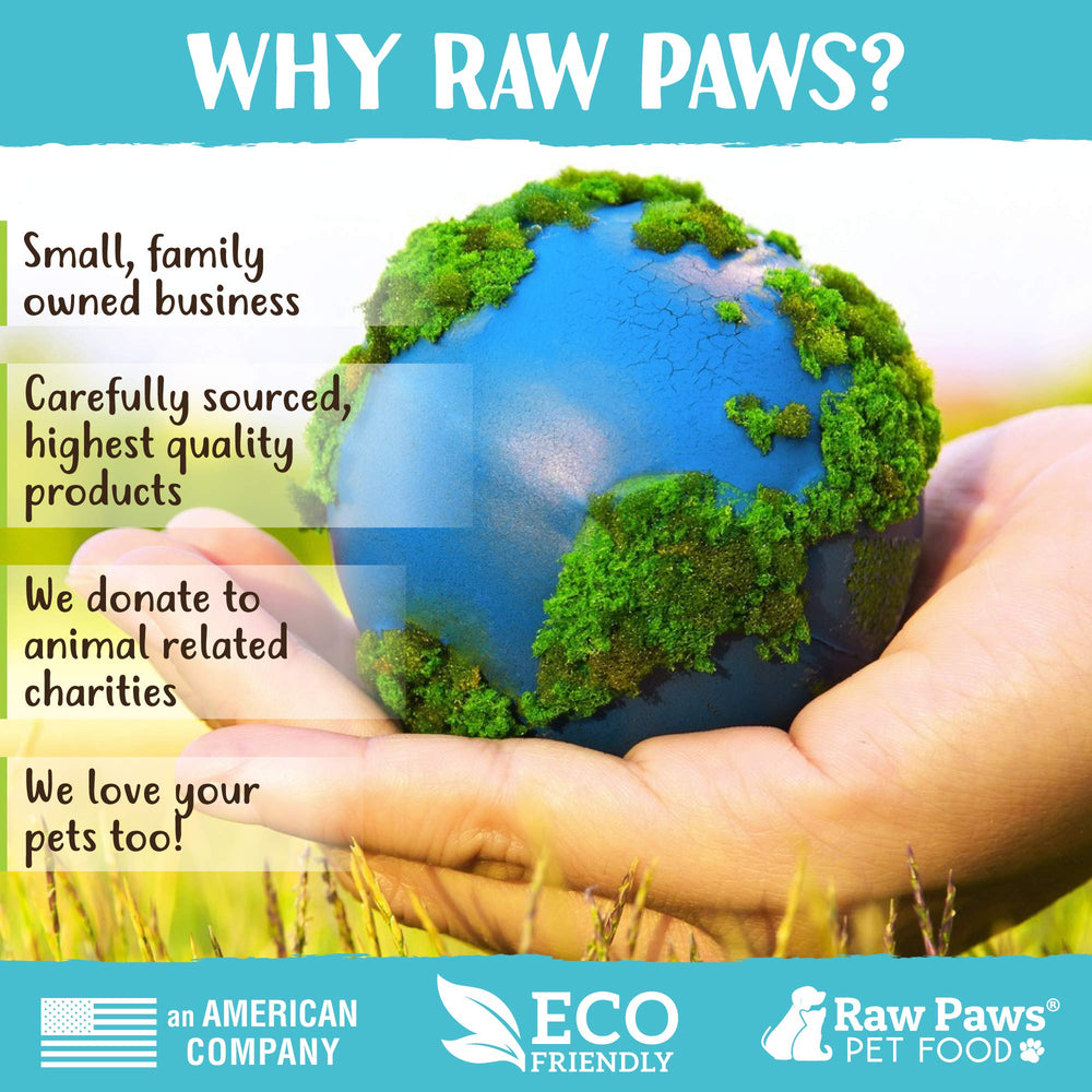 Raw Paws silvervine sticks gift-option display ideal for thoughtful cat enrichment gifts.